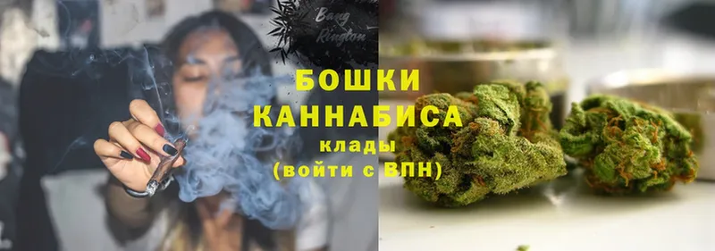 Бошки марихуана Amnesia  OMG как зайти  Краснознаменск  наркошоп 